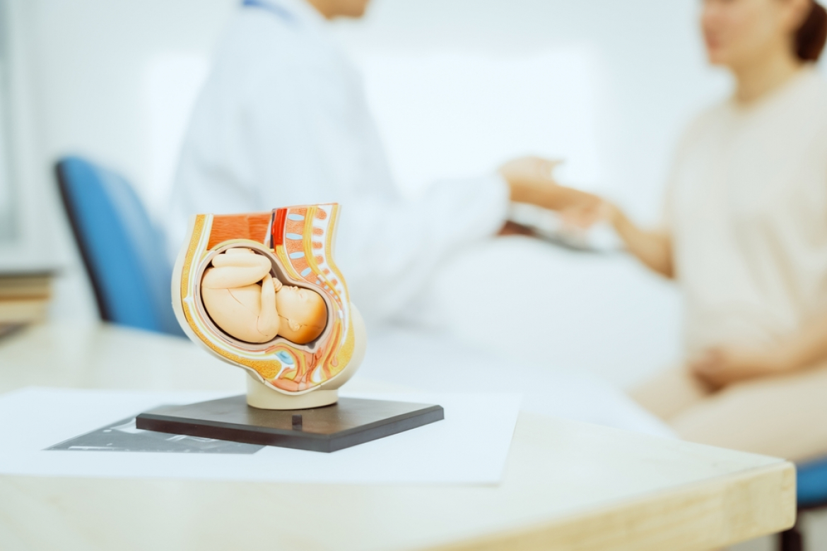 12 de abril – Dia do Obstetra: os desafios e os recados aos jovens médicos